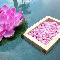 Waxness Bikini Lotus: das harzfreie Wachs für eine sanfte und effektive Bikiniwachsung! Hergestellt in Italien, entspricht es den höchsten Qualitätsstandards der EU und USA. Mit hoher Haftung am Haar und zusätzlichem Hautschutz sorgt es für einen komfortablen Service ohne Blutergüsse. Ultratiefe Schmelztemperatur (103°F) minimiert Verbrennungsrisiken.

» Speziell für die Bikiniwachsung formuliert
» Hohe Elastizität für dünnere, wirtschaftliche Anwendung
» Schutz für die Haut und starke Haftung am Haar
» Qualitätsprodukt, hergestellt in Italien

💻 https://waxness.de/de/film-hartwachsperlen-waxness/207-premium-luxury-bikini-lotus-hard-wax-beads-08-lb-400g.html
.
.
.
#waxness_de #waxness #waxness_ #waxnecessities #lotus #waxlotus #bikinilotus #hardwaxbikini #Haarentfernung #BeautyProfessionell #hardwax #hardwaxfromeurope #bikini lotus